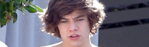 harry styles in los angeles