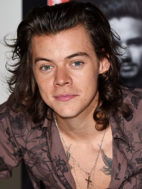 2 Harry Styles Sexy Pop Stars The HOTTEST Male Singers Of 2014